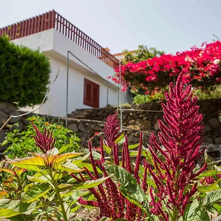 Casa Hedera Сasa de vacaciones *