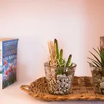 Casa Hedera Breña Baja